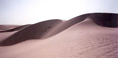 Tunisia - dune